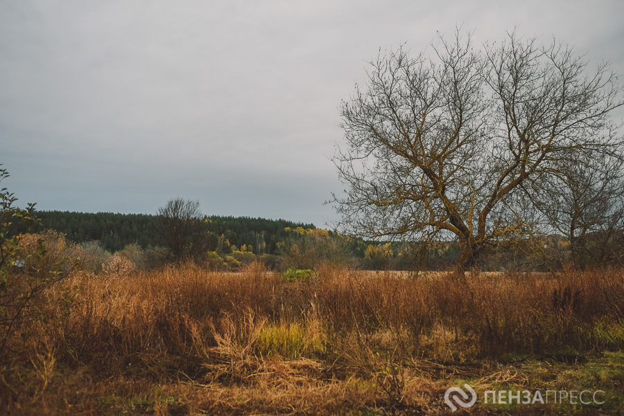 DSC_4844.jpg