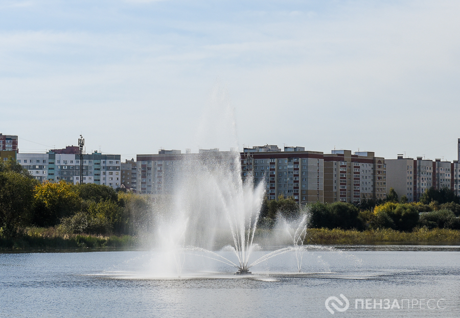 DSC_3824.jpg