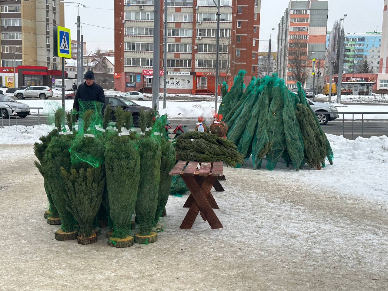 В Пензе открываются первые ёлочные базары