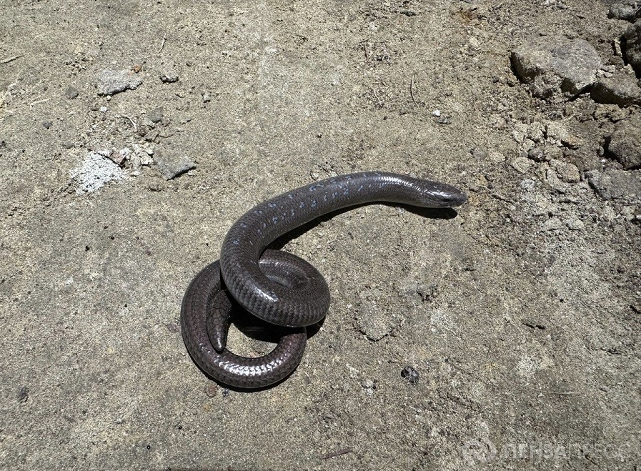 Img00034.jpg