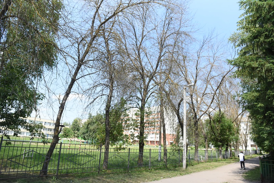 DSC_3224.JPG