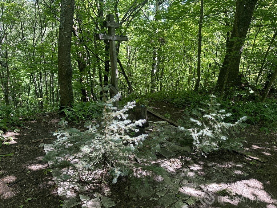 Img00069.jpg