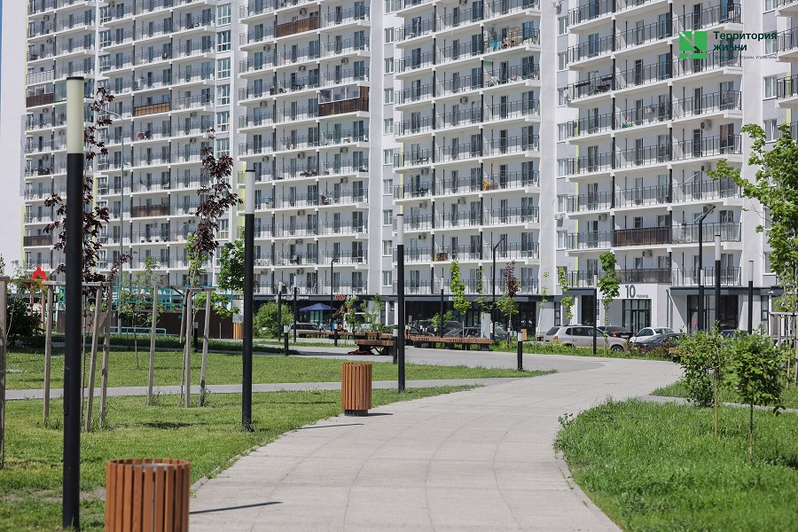 tzh260526-4.jpg