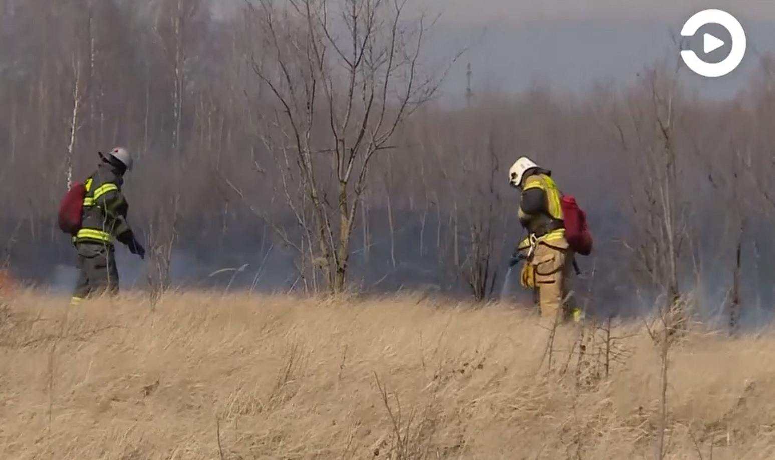 
		
		В Пензенской области введен противопожарный режим
		
	