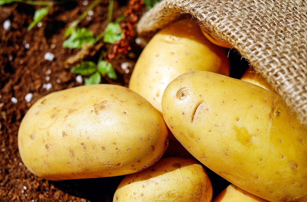 
		
		Фермер из Мокшана рассказал, как с нуля наладил производство картофеля
		
	