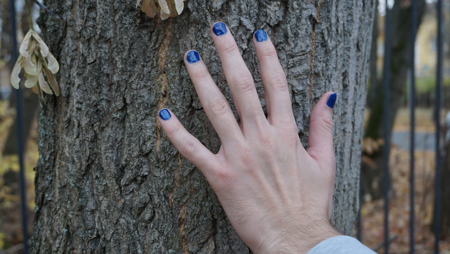 
		
		Зачем мужчины красят ногти и насколько это популярно в Пензе
		
	