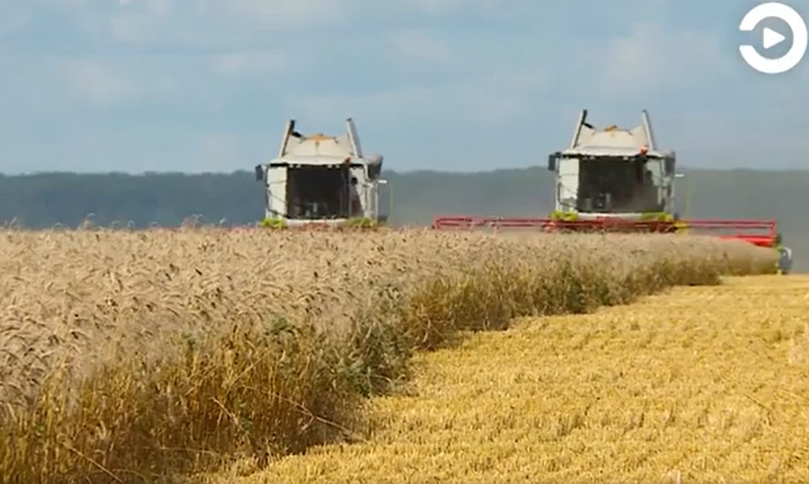 
		
		Пензенская область лидирует в ПФО по намолу зерновых и зернобобовых культур
		
	