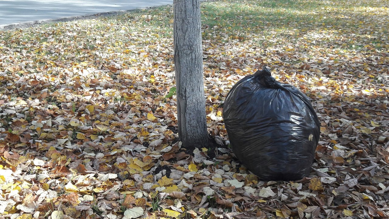 
		
		Мэр Пензы призвал убрать с улиц мусор и бурьян
		
	