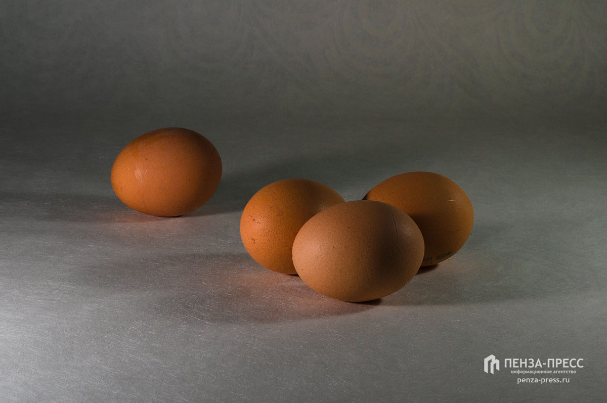 
		
		Российские производители яиц и мяса птицы просят повысить цены на свою продукцию
		
	