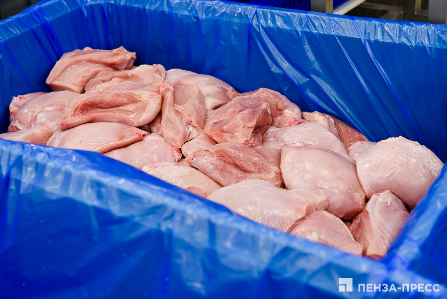 
		
		Пензенская область – на втором месте в РФ по приросту производства мяса птицы
		
	