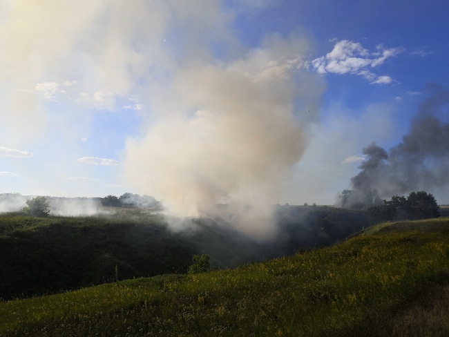 
		
		В Пензенской области выявили нарушения правил пожарной безопасности в лесах
		
	