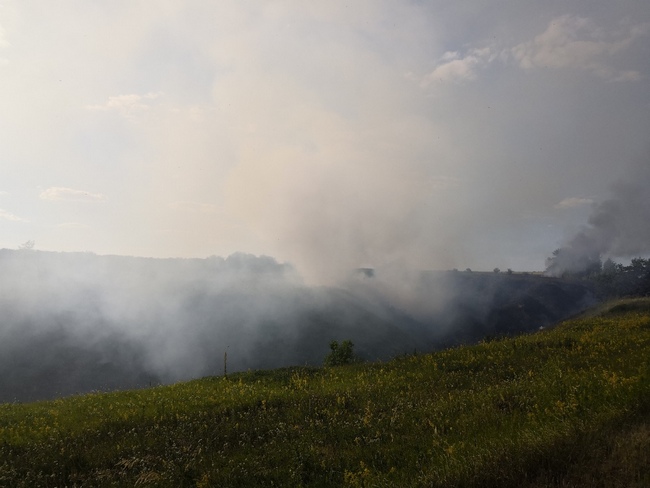 
		
		В Пензенской области огонь охватил пять гектаров леса
		
	