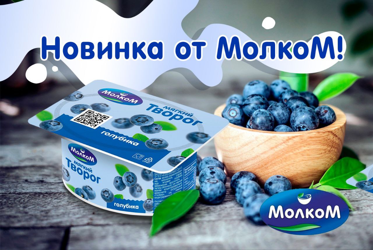 Компания «Молком» выпустила в продажу оригинальный мягкий творог «Голубика»