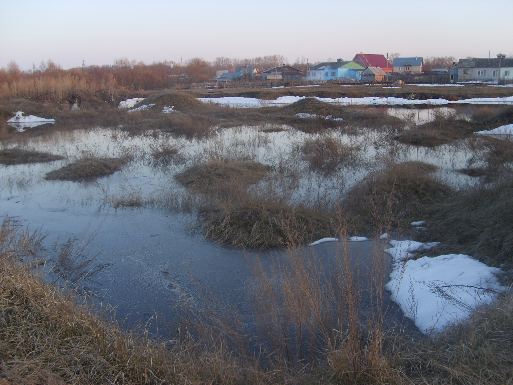 В Бессоновке и Грабово талые воды затопили участки