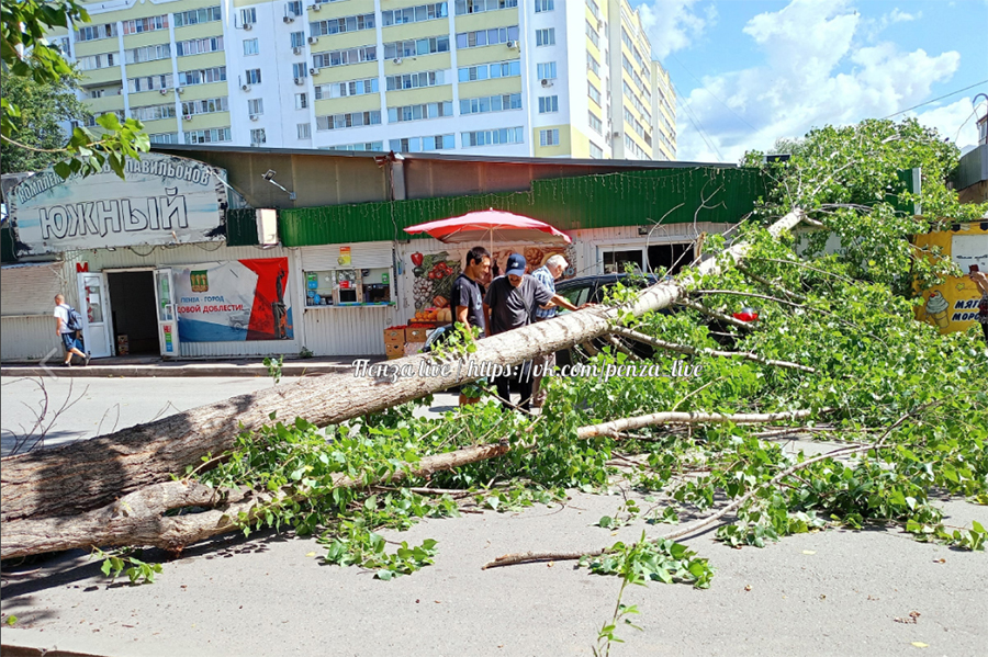 Дерево упало на дом фото