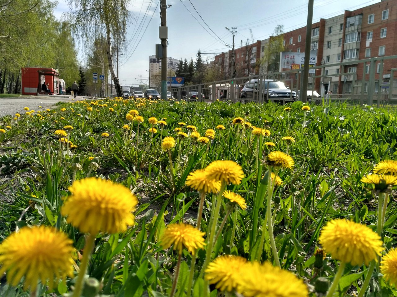 У одного из пензенских домов благодаря вмешательству прокуратуры стало  светлее