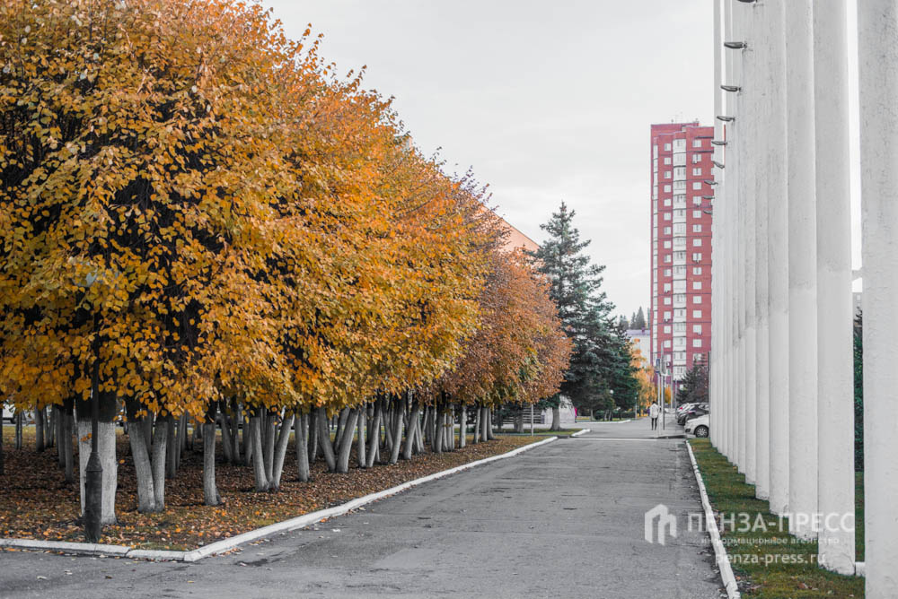 Пенза ноябрь. Пенза в ноябре. Пенза в ноябре фото.