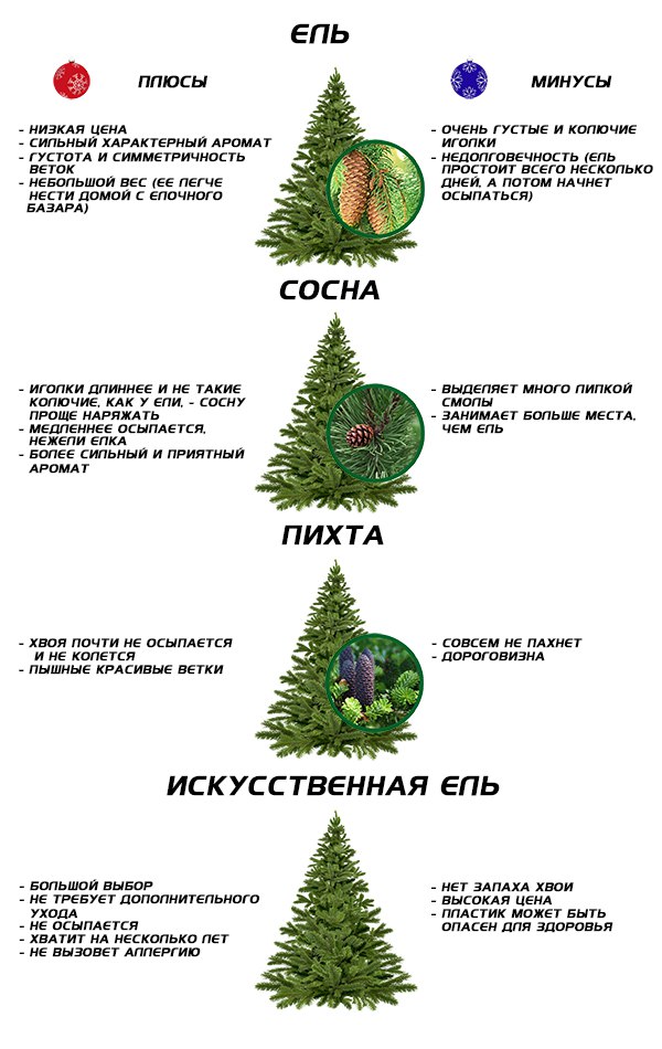 Живая или искусственная. Живая или искусственная елка. Плюсы искусственной елки. Плюсы живой елки. Плюсы и минусы искусственной елки.