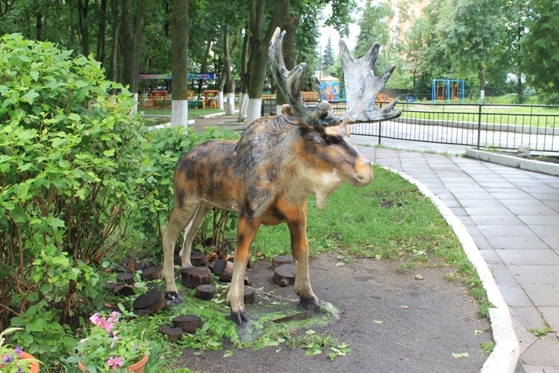 Лось в зоопарке. Зоопарк Пенза. Пенза памятники зоопарка. Пенза зоопарк животные.