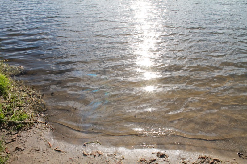 Сурское водохранилище фото