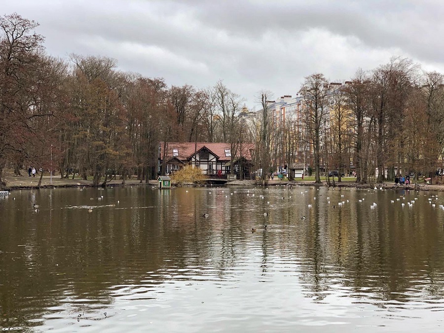 Светлогорск где погулять. Светлогорск или Зеленоградск. Где лучше остановиться в Зеленоградске или Светлогорске.