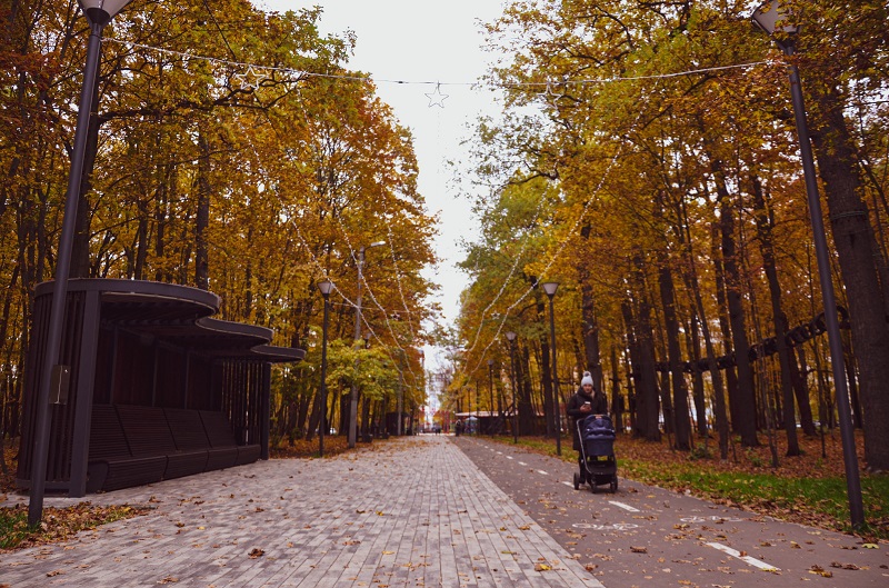 Западная поляна пенза. Парк Союз Пенза. Парк Союз Пенза Западная Поляна. Пенза сквер Союз.