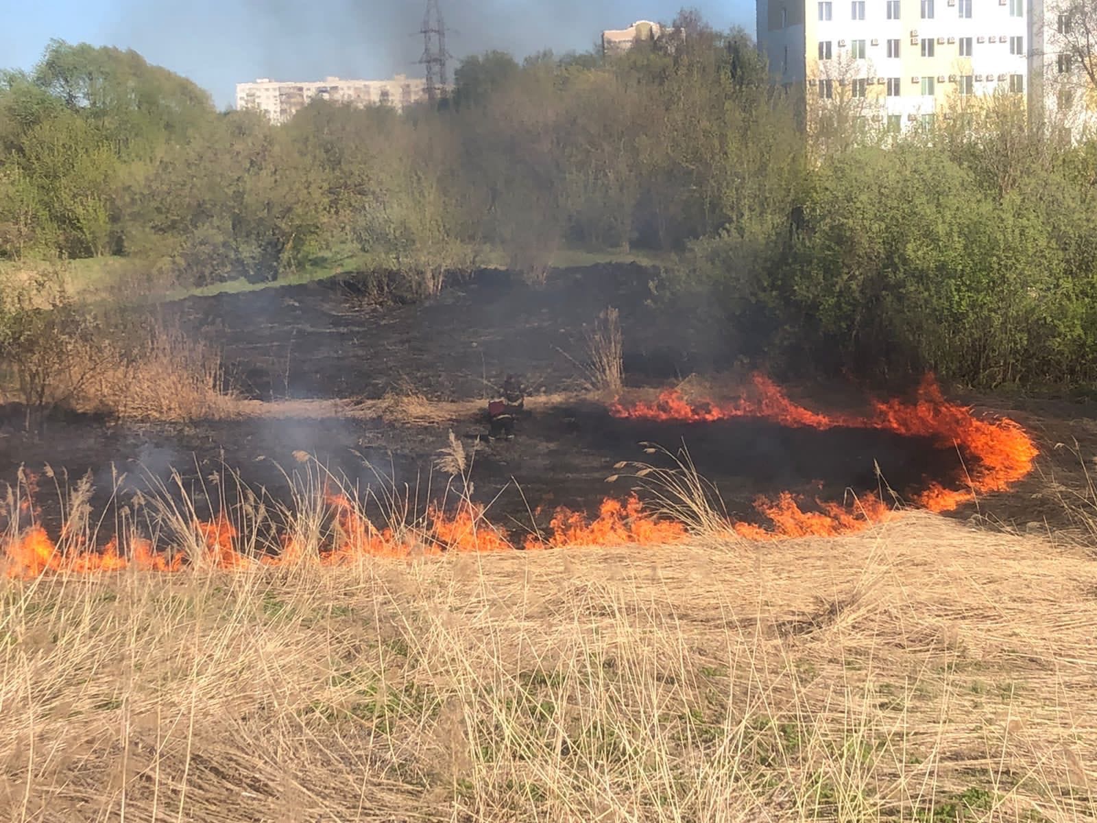 Область огня. Пожар. Пожар травы. Крупный Лесной пожар. Пожар Пенза.